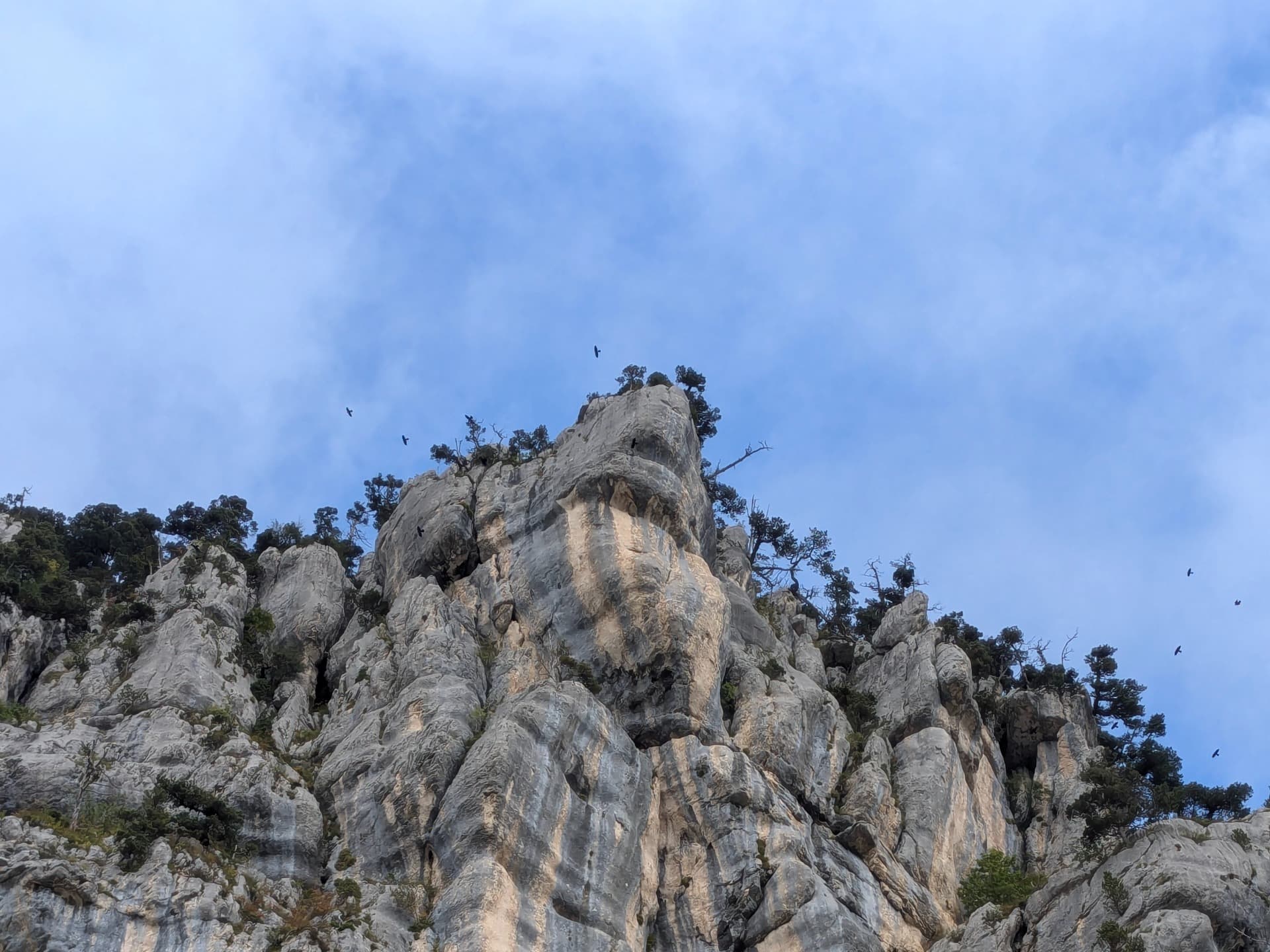 Let's leave the city for the Hauts de Chartreuse